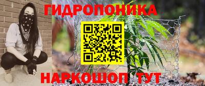 хмурый Малоярославец