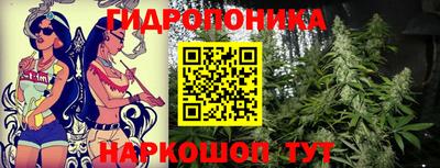 хмурый Малоярославец