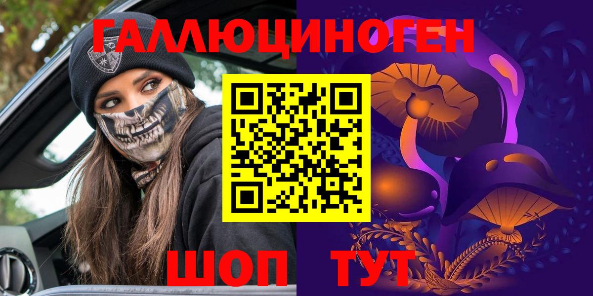 Псилоцибиновые грибы Psilocybine cubensis  Псилоцибиновые грибы прущие грибы  Горно-Алтайск  Вход с VPN 