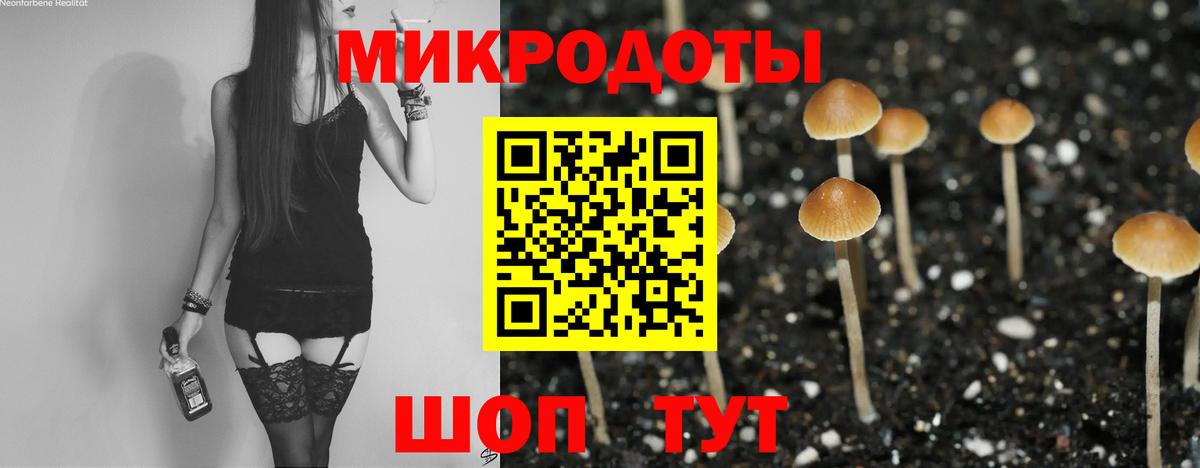 Псилоцибиновые грибы Psilocybine cubensis Горно-Алтайск